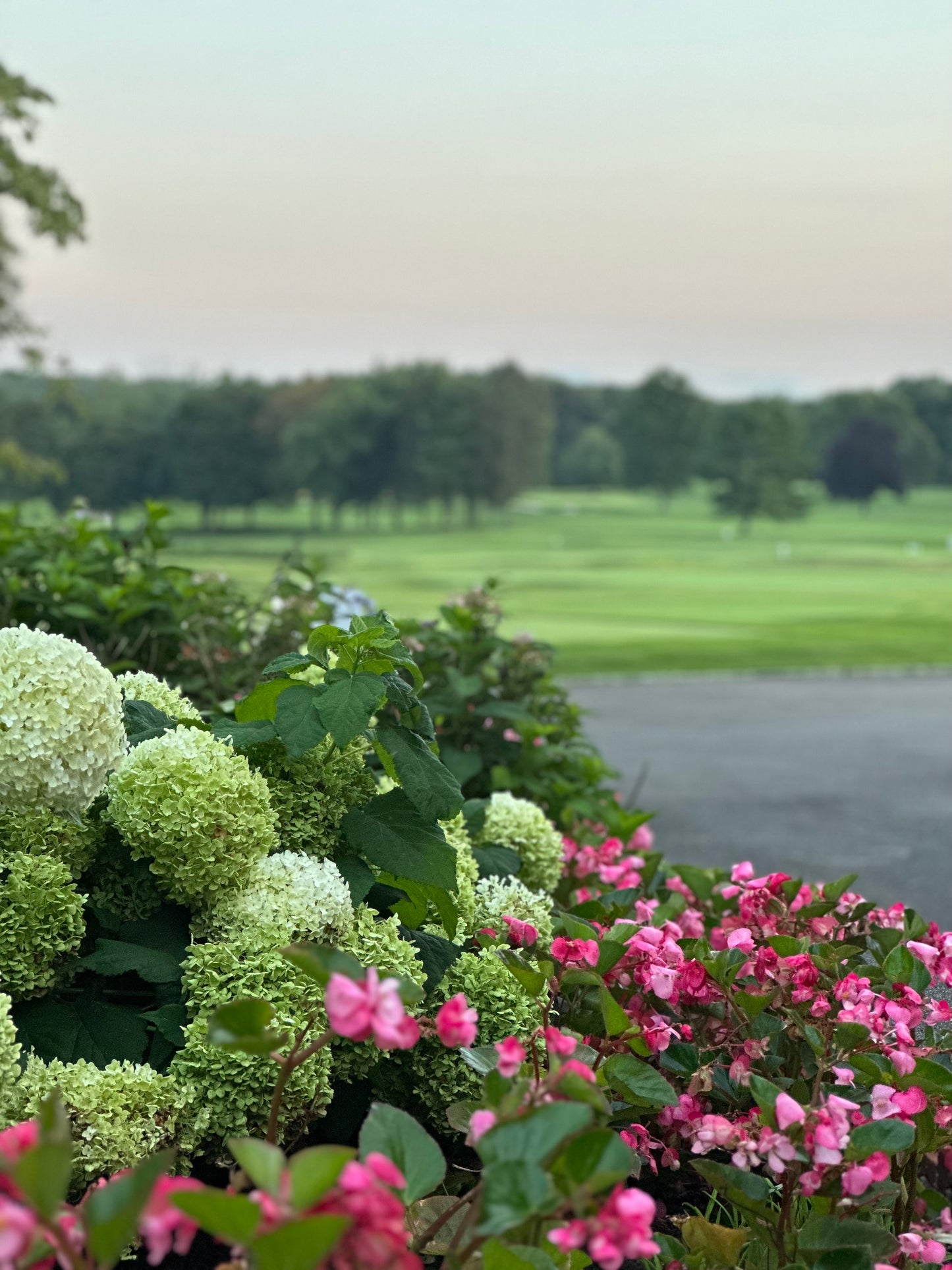 Platinum Event Sponsor